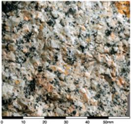 Porphyritic quartz monzonite (